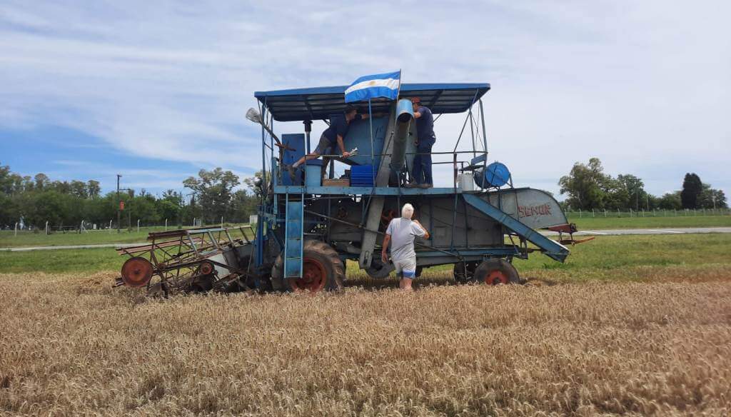 Del asombro al desencanto: la tecnología rural y los vaivenes de la agricultura pampeana