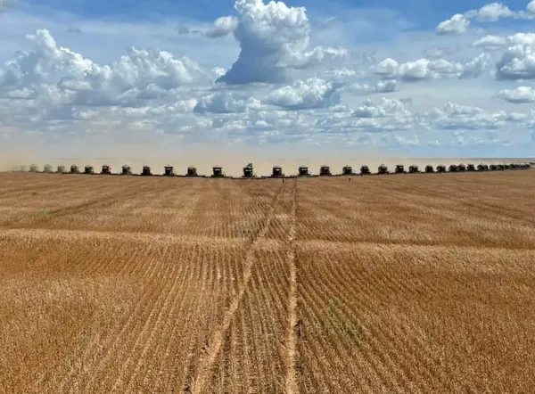 La cuestión agraria pampeana y el desarrollo capitalista argentino